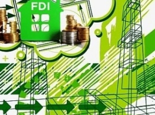Social Investment Potential in Vietnam's Green Transition Roadmap