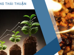 Vietnam is incorporating Biomass Energy into its Direct Power Purchase Agreement (DPPA)