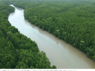 🔥 Airbus Forest Biomass Measurement Satellite: A Revolution in Forest Monitoring &amp; the Future of Bioenergy 🌍🌱