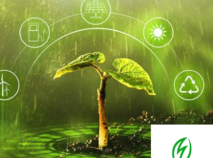 Dong Nai approves carbon reduction project aimed at net emissions of “0” by 2050