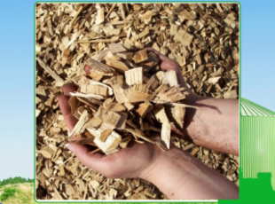 High-quality wood chips at good prices in Long An