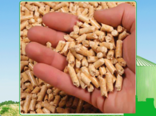 Guide to choosing a reputable wood pellet supplier in Tay Ninh