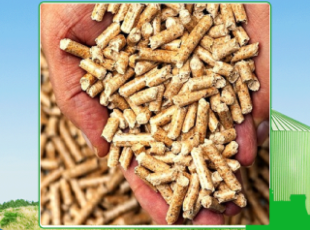A reputable wood pellet supplier in Long An