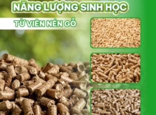 Biochar – A New Solution Contributing to Carbon Neutrality Goals
