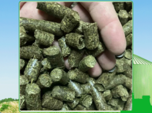 Latest wood pellet price update for Tay Ninh