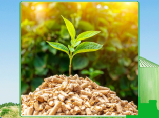 Wood pellet prices in Tay Ninh are cost-effective