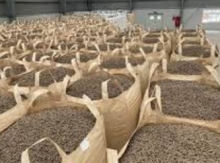 Unilever Vietnam: Pioneering Carbon Reduction with Biomass Technology and Electric Forklifts