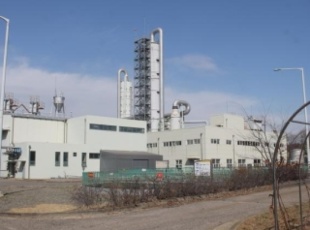 South Korea Cuts Biomass Energy Subsidies: A New Shift in the Energy Transition