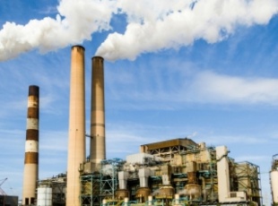 Phong Thai Thuan – Biomass Wood Pellet Solution Aiming for Net Zero