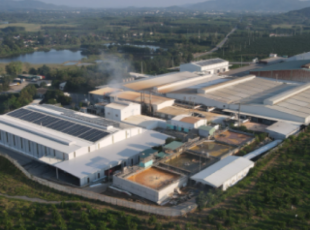 How Did a Factory in Binh Duong Save 1.5 Billion VND Per Year Using Wood Pellets?