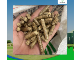 Current Situation of the Wood Pellet Market: Grade 3 Prices Falling, Grade 1 in Short Supply, Exports Slowing Down