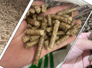 Distinguishing Wood Pellets by Color: A Simple and Effective Way to Check Quality