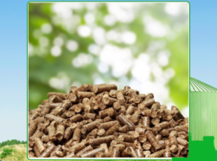Using compressed wood pellets in Tay Ninh is more effective