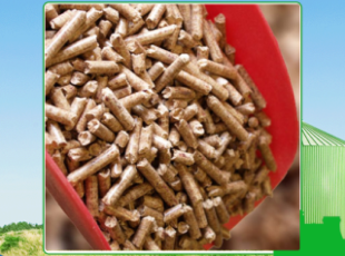 Tay Ninh Wood Pellets – A Green and Sustainable Energy Product