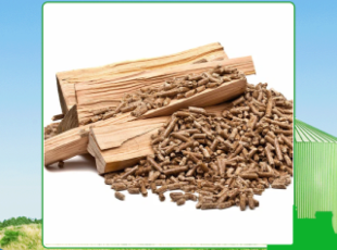 Assessing the quality of wood pellets exported to Tay Ninh