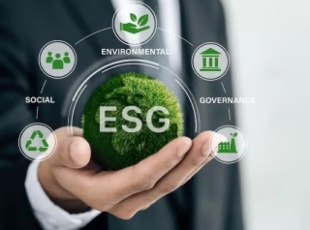 The Effectiveness of Biomass Fuel in the Food Processing Industry