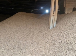 Affordable Wood Pellets – An Optimal Fuel-Saving Solution for Businesses