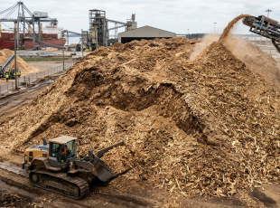 Industrial Wood Chips – Raw Material for Production and Energy