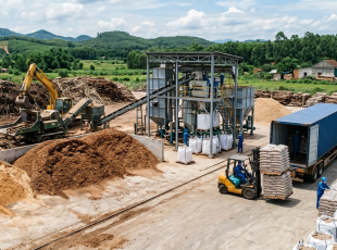 Phong Thái Thuận – Nhà Cung Cấp Nhiên Liệu Sinh Khối Biomass Tại Việt Nam