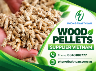 Wood Pellets Supplier Vietnam: A Complete Guide for International Buyers