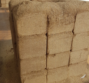 Acacia Sawdust Supplier in Vietnam – Quality Wood Material for Industrial and Agricultural Applications