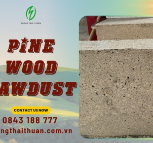 SD-01 Pine Wood Sawdust | Phong Thai Thuan