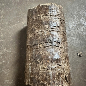 SAWDUST FIREWOOD D90