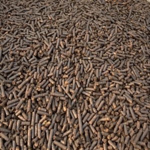 VIÊN NÉN BÃ HẠT ĐIỀU