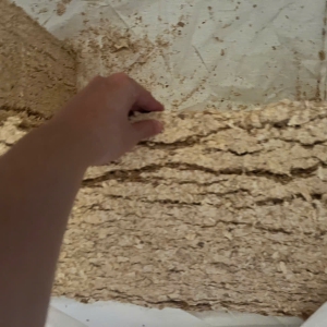 WOOD SHAVINGS