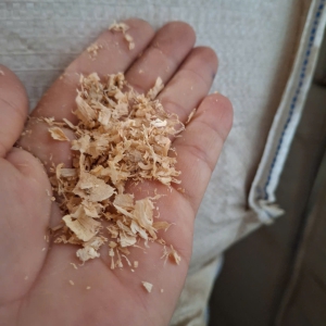 WOOD SHAVINGS