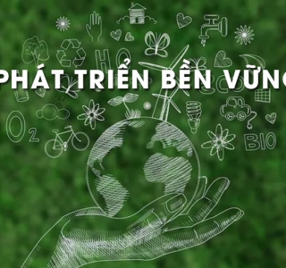 Quản Lý Rừng Bền Vững Ở Các Nước Phát Triển: Bài Học Cho Ngành Năng Lượng Sinh Khối