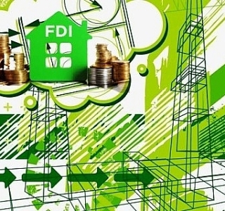 Đề Xuất Tăng Cường Sử Dụng Sinh Khối Từ Rừng Bền Vững Tại Ireland