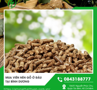 Mua viên nén gỗ ở đâu tại Bình Dương giá tốt chất lượng cao uy tín