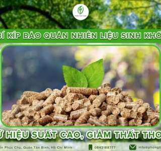 Câu Hỏi Nào Bạn Muốn Biết Về Viên Nén Gỗ? Hãy Đặt Câu Hỏi Ngay Hôm Nay!