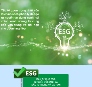 Viên Nén Gỗ – Giải Pháp Giảm Phát Thải, Hướng Tới Net-Zero