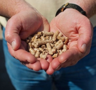 Top 6 Nhà Cung Cấp Củi Trấu, Viên Nén Gỗ, Dăm Gỗ, Mùn Cưa Uy Tín Tại Long An