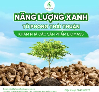 Chất Đốt Lò Hơi – Giải Pháp Nhiên Liệu Hiệu Quả và Bền Vững từ Phong Thái Thuận