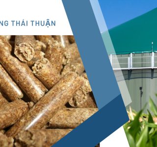 Thực Trạng Thị Trường Viên Nén Gỗ Miền Trung và Miền Nam: Giá Giảm, Chất Lượng Bị Đẩy Cao