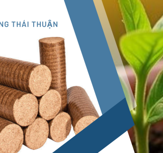 Củi D90 Liên Tục Cháy Hàng: Lý Do Hút Hàng Và Thách Thức Hiện Tại