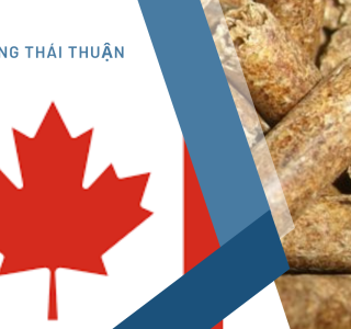 Canada Áp Dụng Tiêu Chuẩn Mới Trong Việc Sử Dụng Viên Nén Gỗ Để Sởi Ấm