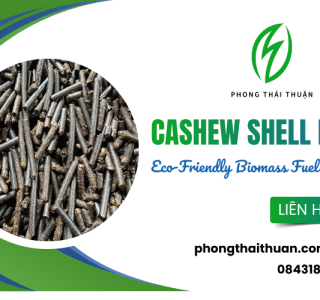 The latest updated prices for wood pellets in Binh Duong guarantee quality