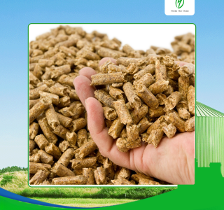 Công ty sản xuất viên nén gỗ Tây Ninh uy tín