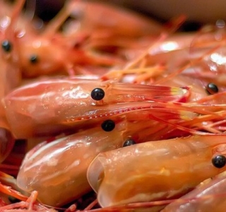 Giảm Phát Thải Trong Ngành Chế Biến Tôm: Bước Tiến Hướng Tới Sản Xuất Bền Vững