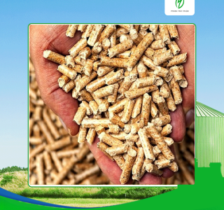 Đơn vị cung cấp viên nén gỗ uy tín tại Long An