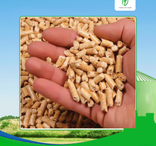 Hướng dẫn chọn đơn vị cung cấp viên nén gỗ uy tín tại Tây Ninh