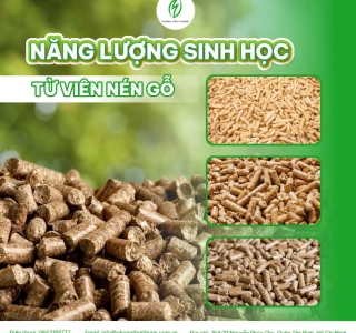 Top 10 Công Ty Cung Cấp Viên Nén Gỗ, Củi Trấu & Mùn Cưa Uy Tín Tại Bình Dương