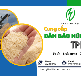 Dăm bào mùn cưa – Giải pháp tái chế thân thiện cho sản xuất và môi trường