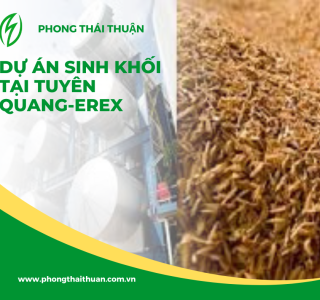 Erex Sắp Bắt Đầu Sản Xuất Thử Nhà Máy Sinh Khối Tại Việt Nam: Bước Tiến Mới Cho Năng Lượng Tái Tạo