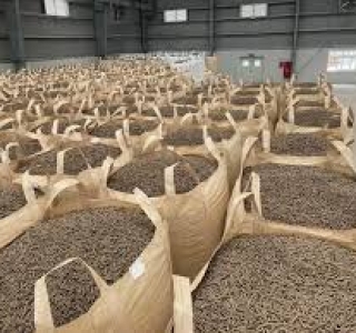 Unilever Việt Nam: Tiên Phong Giảm Phát Thải Carbon Với Công Nghệ Biomass Và Xe Nâng Điện