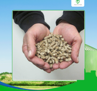 Tiết kiệm chi phí khi mua viên nén gỗ ở Tây Ninh